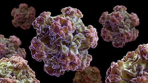 ljudski papiloma virus
